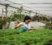cuidar plantas con riego y luz adecuados